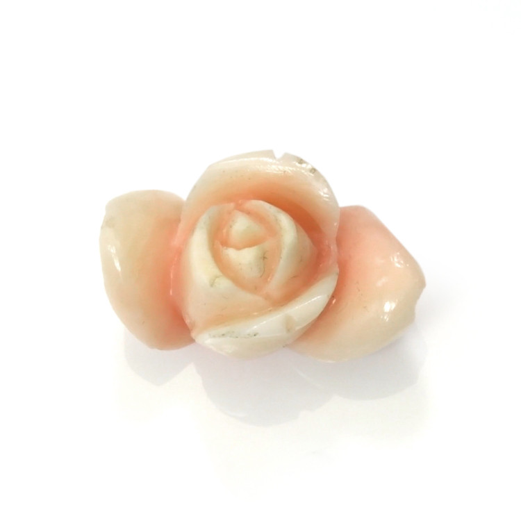 15.78 Ct. Coral from Italy