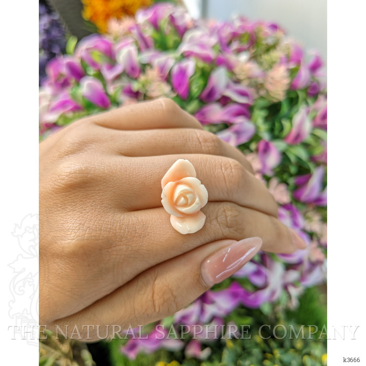 15.78 Ct. Coral from Italy