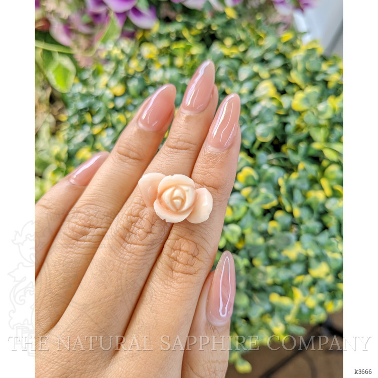 15.78 Ct. Coral from Italy