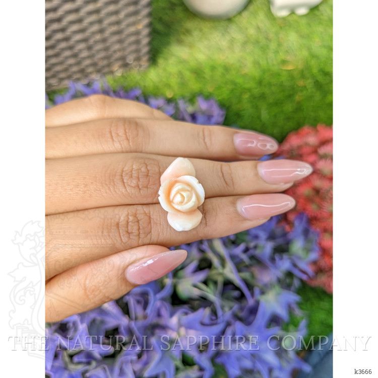 15.78 Ct. Coral from Italy