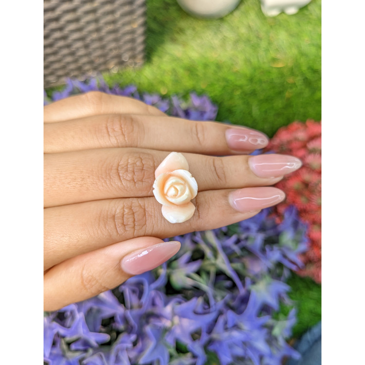 15.78 Ct. Coral from Italy