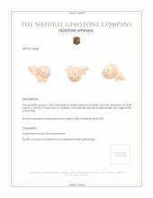 14.96 Ct. Coral from Italy Appraisal