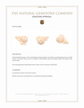 14.96 Ct. Coral from Italy Appraisal