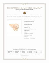 14.96 Ct. Salmon and White Coral from Italy Scan Report