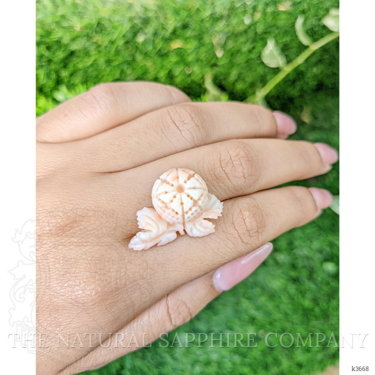 14.96 Ct. Coral from Italy