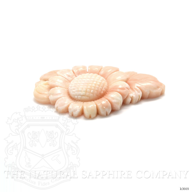 89.96 Ct. Coral from Italy