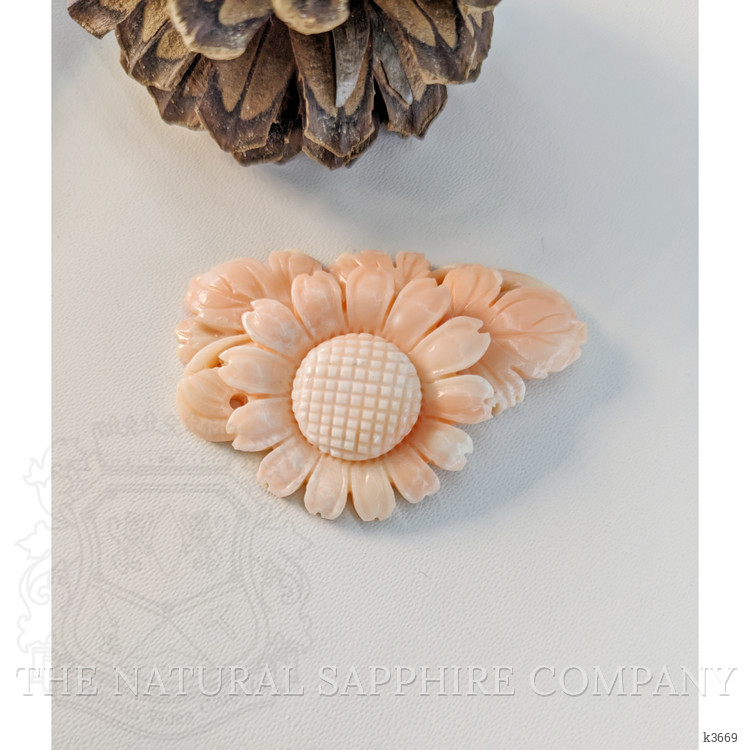 89.96 Ct. Coral from Italy