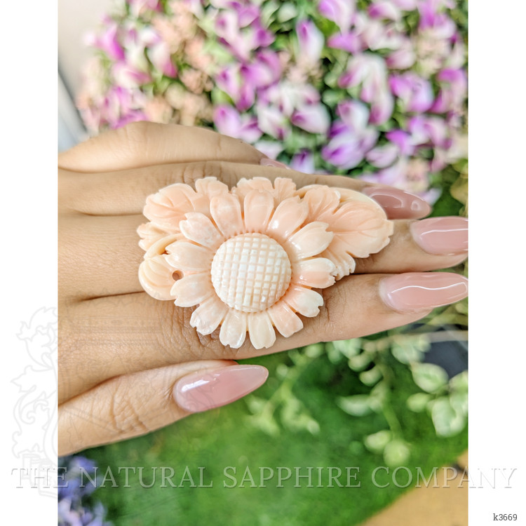 89.96 Ct. Coral from Italy