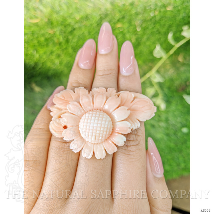 89.96 Ct. Coral from Italy