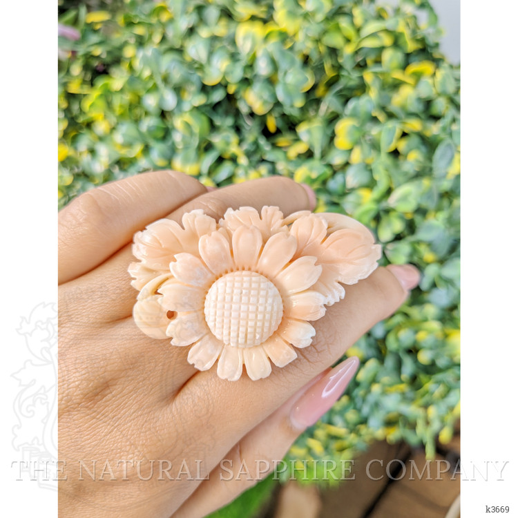 89.96 Ct. Coral from Italy