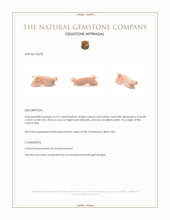 41.07 Ct. Salmon and White Coral from Italy Appraisal