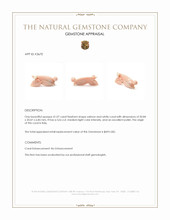 41.07 Ct. Coral from Italy Appraisal