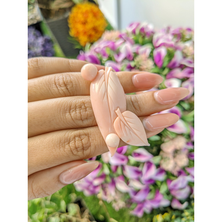 41.07 Ct. Coral from Italy