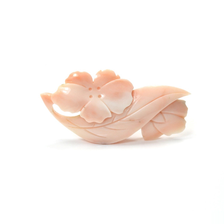 77.17 Ct. Coral from Italy