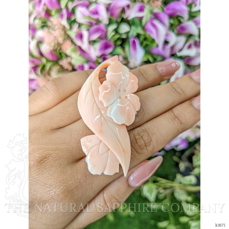 77.17 Ct. Coral from Italy