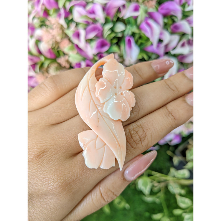 77.17 Ct. Coral from Italy