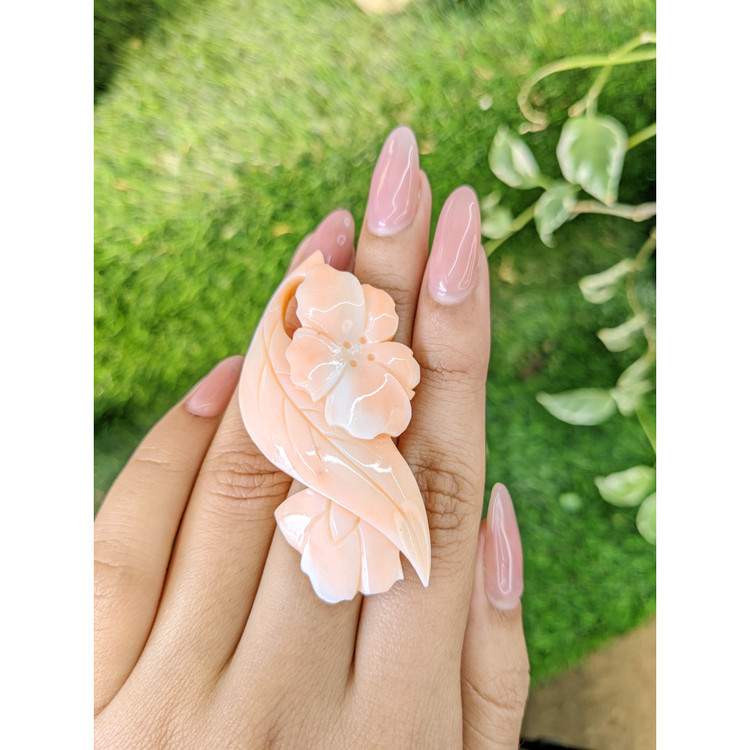 77.17 Ct. Coral from Italy