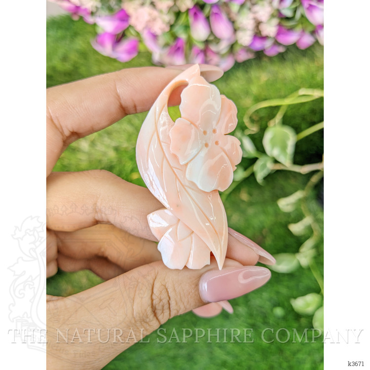 77.17 Ct. Coral from Italy