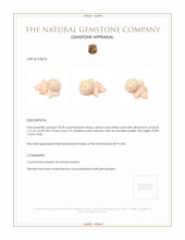 18.29 Ct. Coral from Italy Appraisal