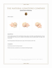 18.29 Ct. Coral from Italy Appraisal