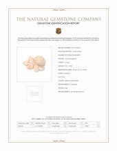 18.29 Ct. Salmon and White Coral from Italy Scan Report