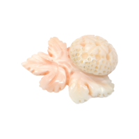 18.29 Ct. Coral from Italy Video