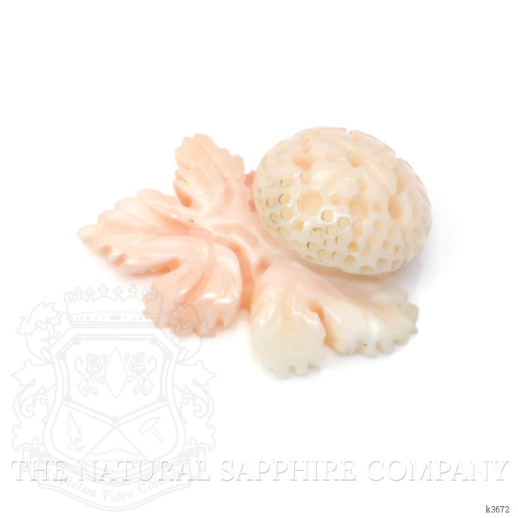 18.29 Ct. Coral from Italy