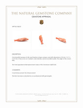 41.88 Ct. Coral from Italy Appraisal