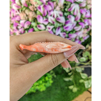 41.88 Ct. Coral from Italy Life Style