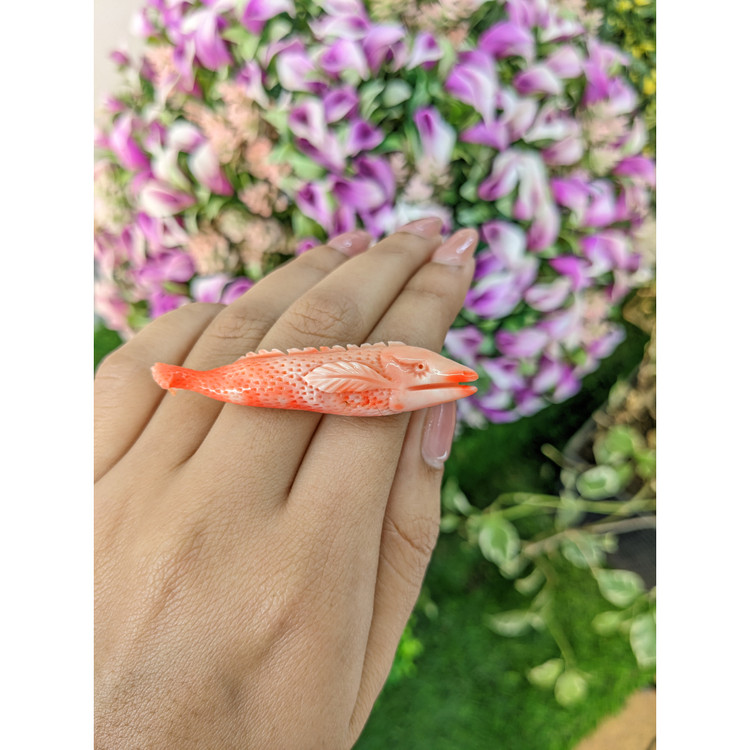 41.88 Ct. Coral from Italy