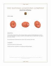 35.93 Ct. Salmon (Orange) Coral from Australia Appraisal