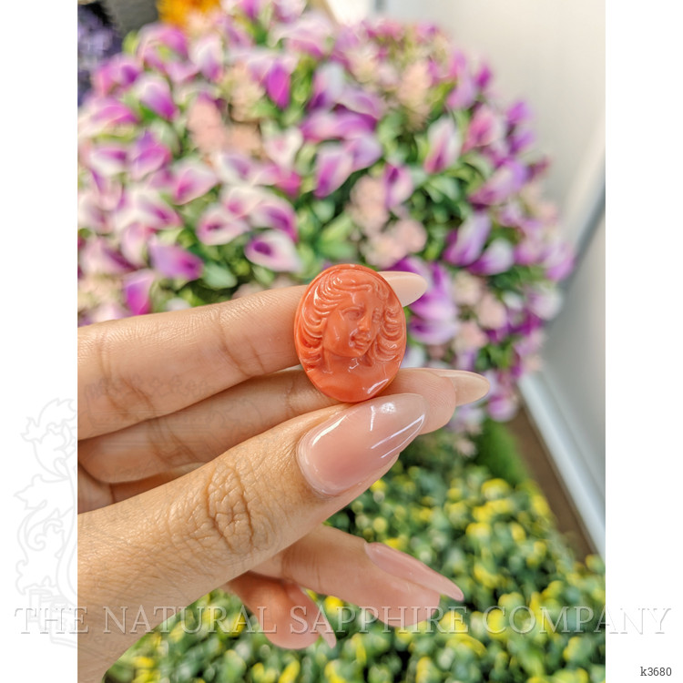 35.93 Ct. Coral from Australia