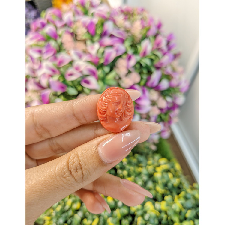35.93 Ct. Coral from Australia