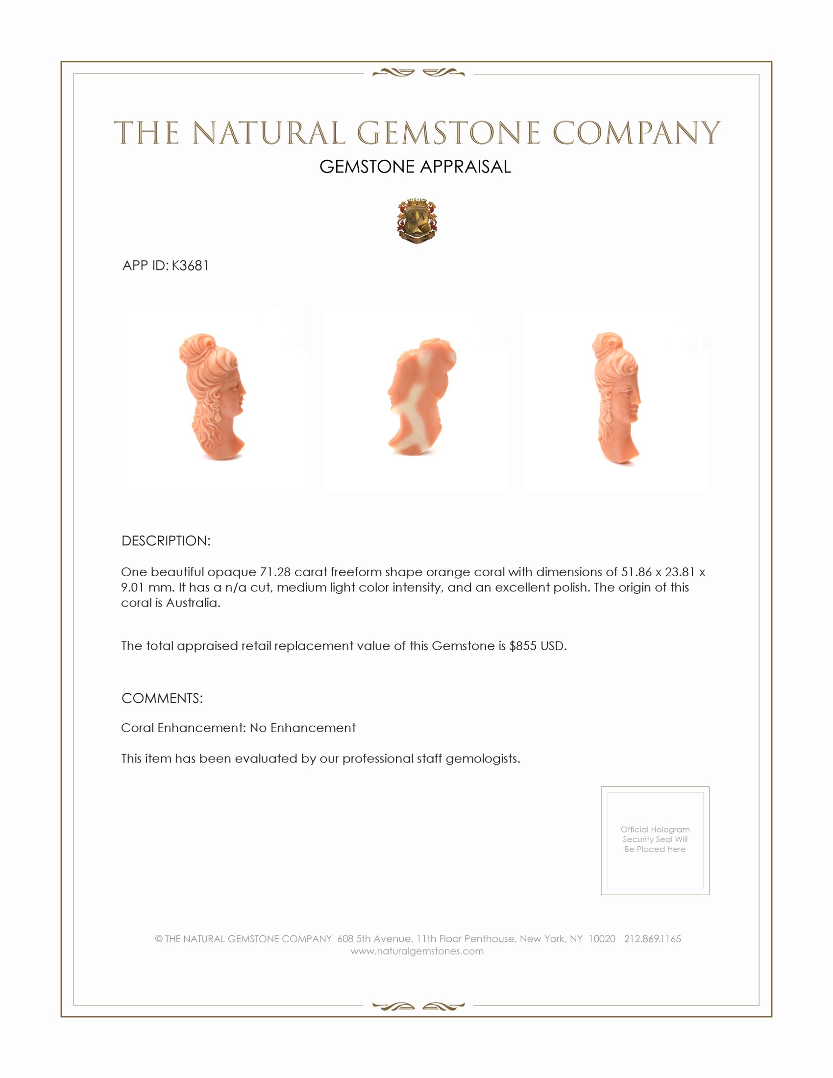 71.28 Ct. Coral from Australia