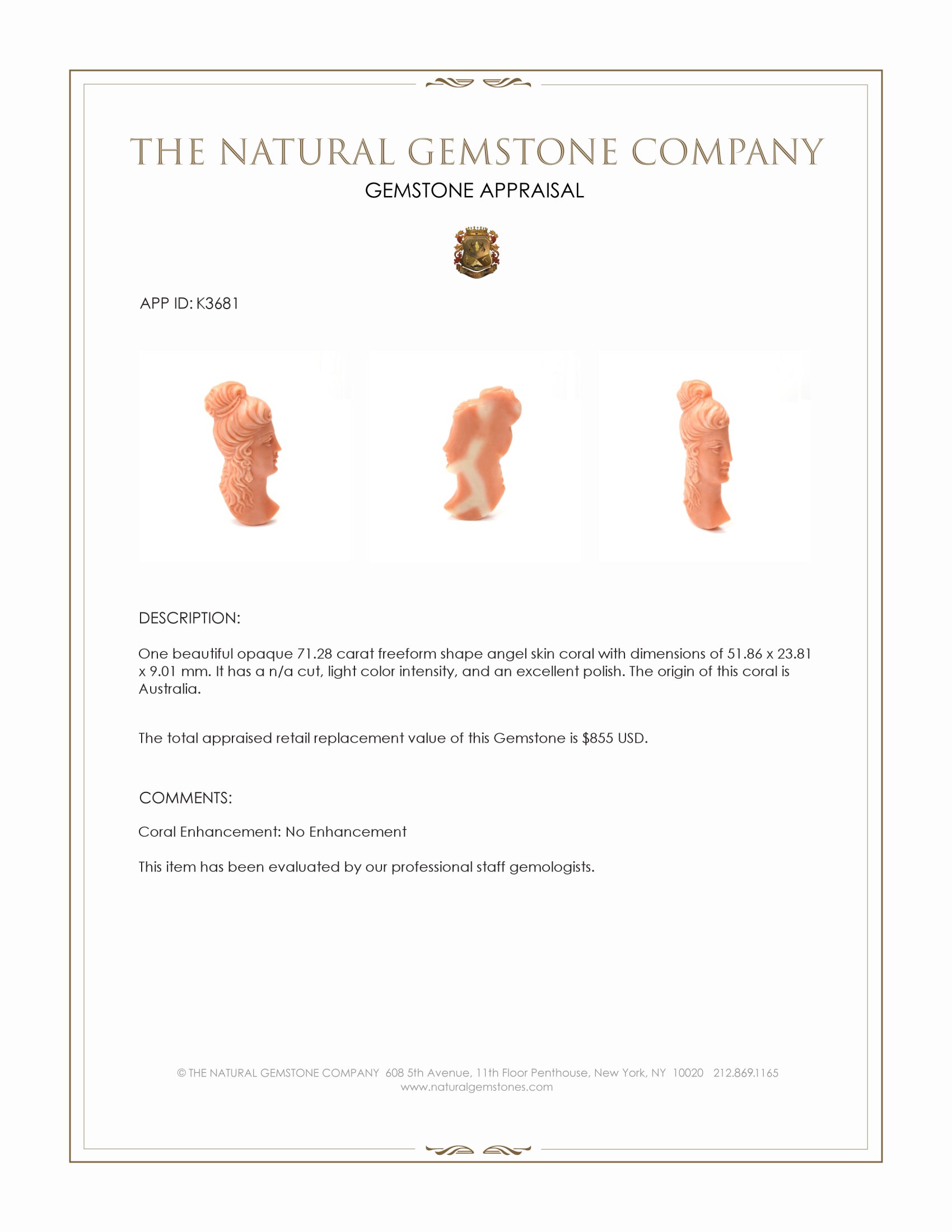 71.28 Ct. Coral from Australia