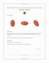 41.05 Ct. Coral from Australia Appraisal