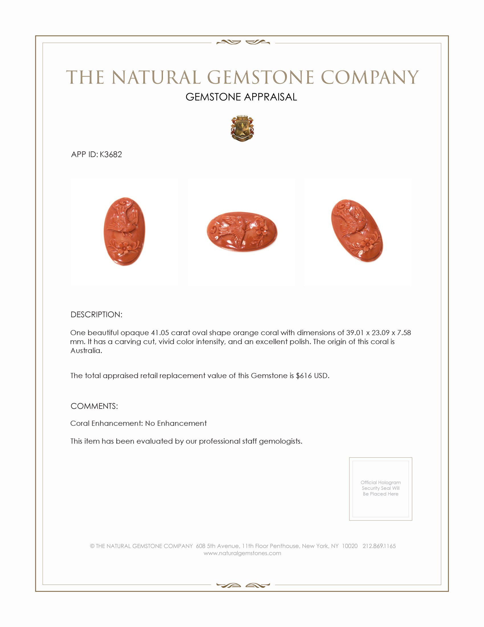 41.05 Ct. Coral from Australia