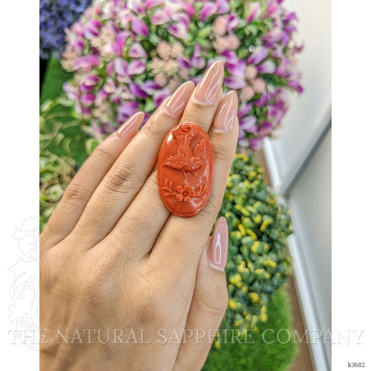 41.05 Ct. Coral from Australia