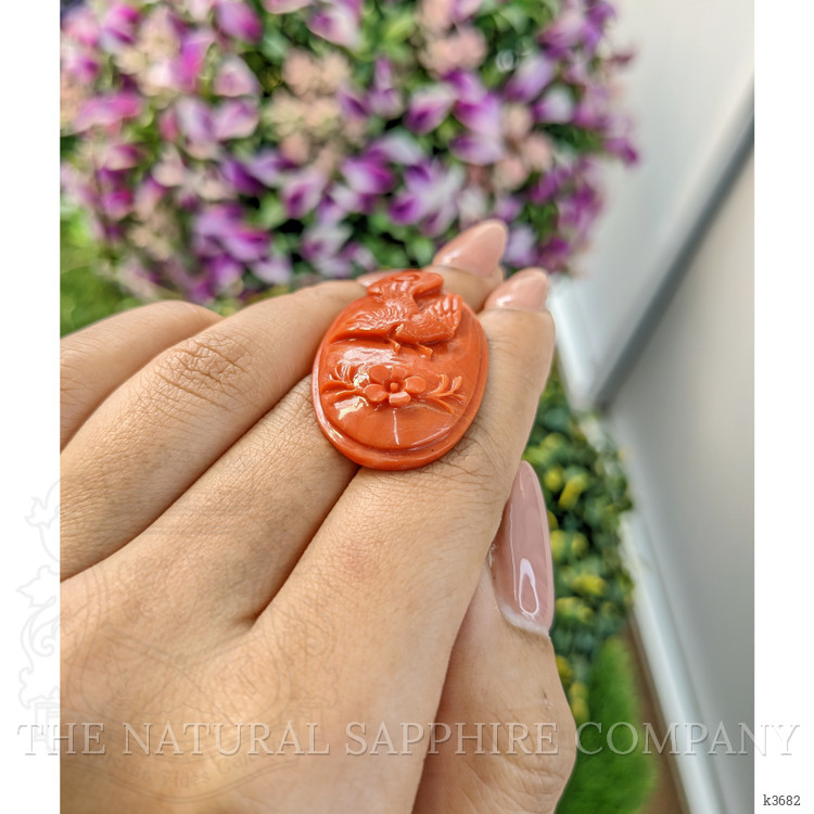 41.05 Ct. Coral from Australia