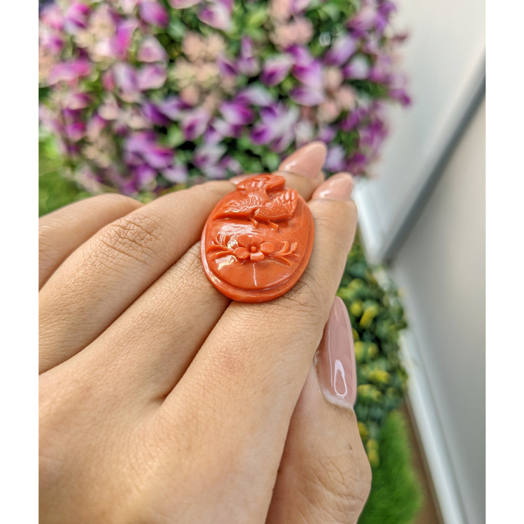 41.05 Ct. Coral from Australia