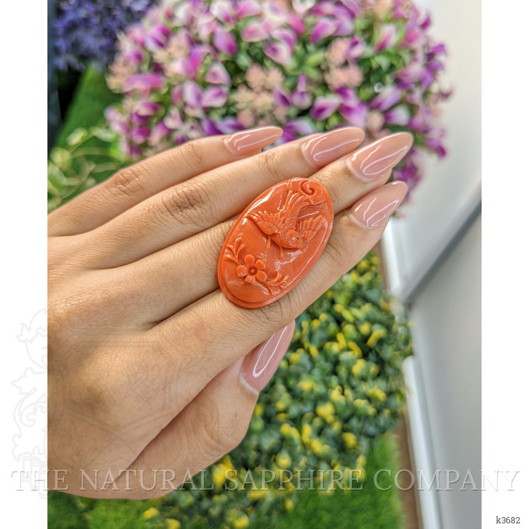 41.05 Ct. Coral from Australia