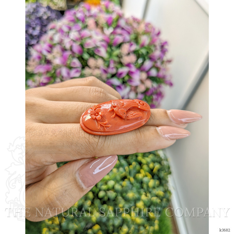 41.05 Ct. Coral from Australia