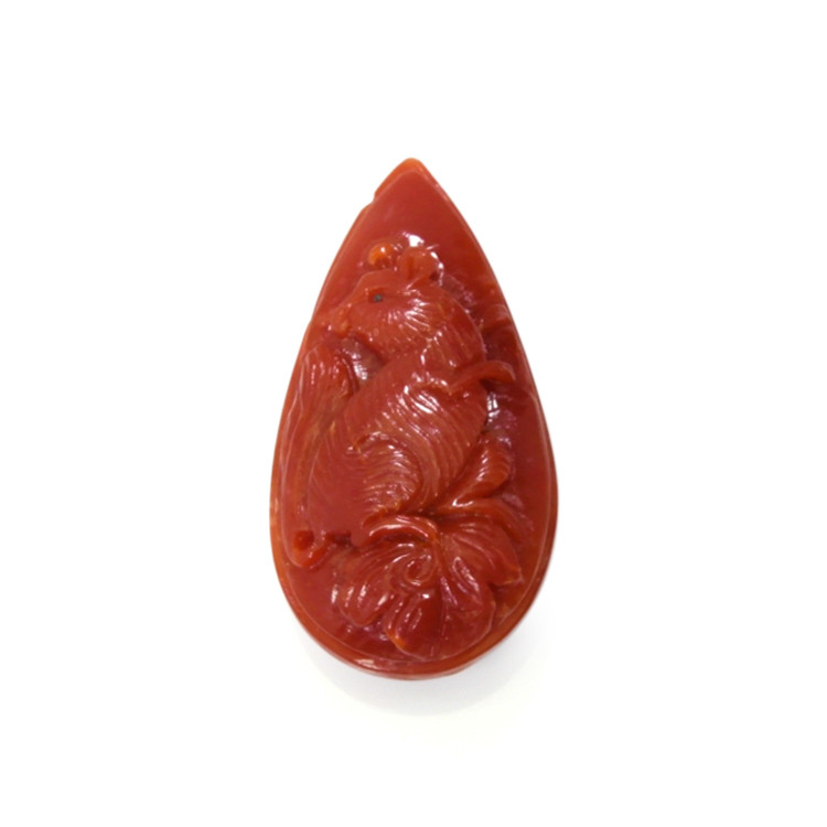 43.97 Ct. Coral from Australia