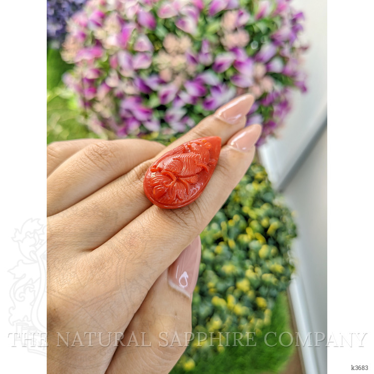 43.97 Ct. Coral from Australia