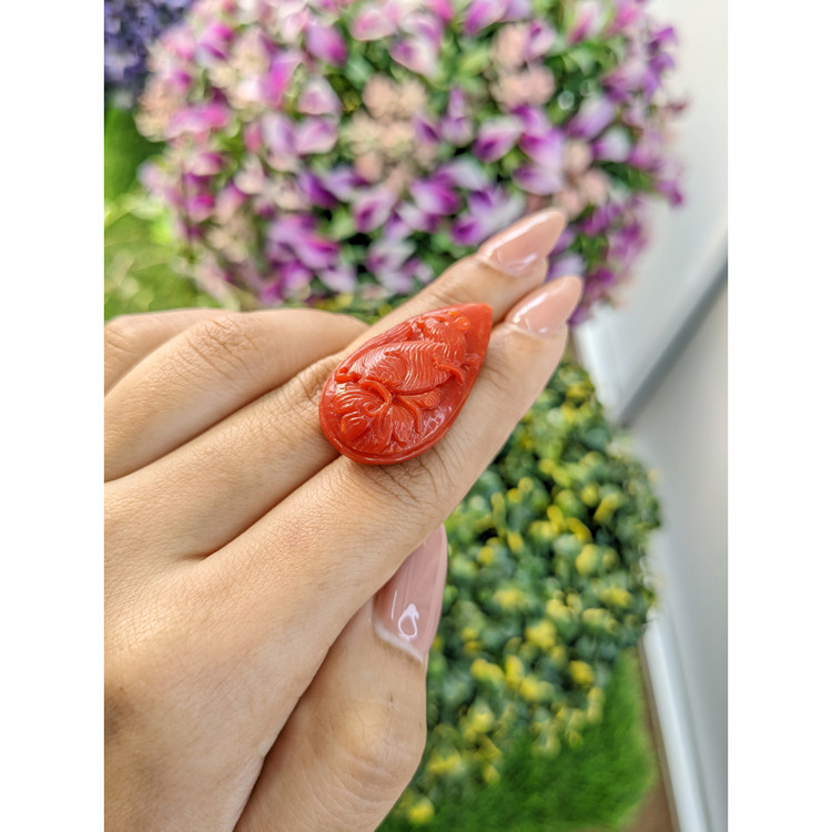 43.97 Ct. Coral from Australia