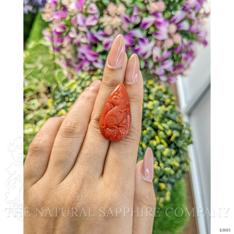 43.97 Ct. Coral from Australia