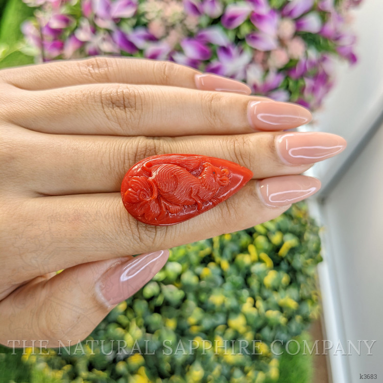 43.97 Ct. Coral from Australia