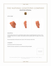 63.75 Ct. Coral from Australia Appraisal