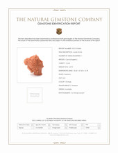 63.75 Ct. Coral from Australia Scan Report