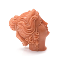 63.75 Ct. Coral from Australia Video